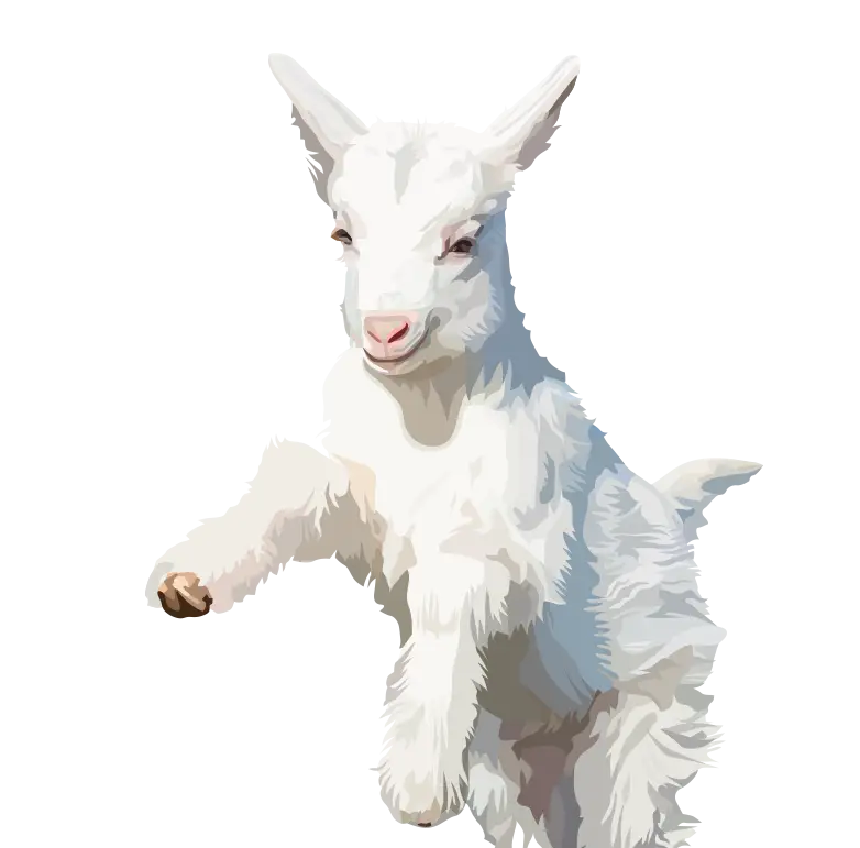 Goat Illustration