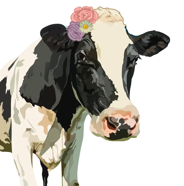 Cow Illustration